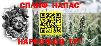 молекула духа Славгород