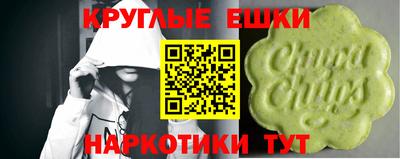 молекула духа Славгород