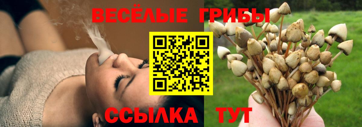 где можно купить наркотик  Псилоцибиновые грибы ЛСД  Орск  Вход с VPN  Галлюциногенные грибы Psilocybe 